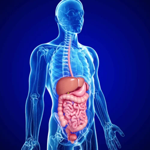 Liver and Gastrointestinal Interventions